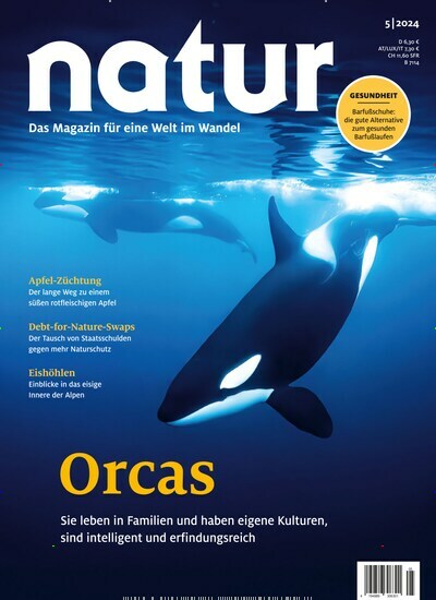 Titelbild der Ausgabe 5/2024 von natur. Diese Zeitschrift und viele weitere Reisemagazine, Freizeitmagazine und Wissensmagazine als Abo oder epaper bei United Kiosk online kaufen.