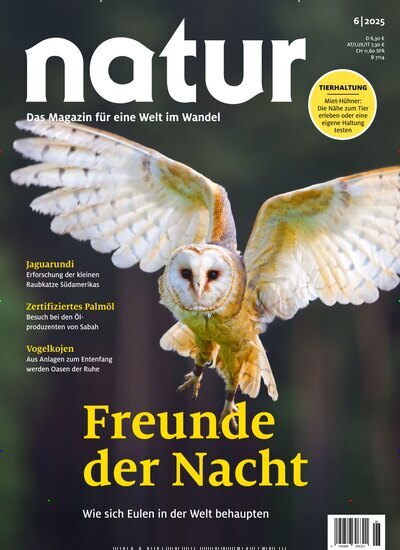 Titelbild der Ausgabe 6/2025 von natur. Diese Zeitschrift und viele weitere Reisemagazine, Freizeitmagazine und Wissensmagazine als Abo oder epaper bei United Kiosk online kaufen.