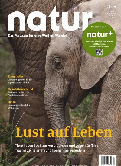 Titelbild der Ausgabe 7/2025 von natur. Diese Zeitschrift und viele weitere Reisemagazine, Freizeitmagazine und Wissensmagazine als Abo oder epaper bei United Kiosk online kaufen.