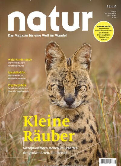 Titelbild der Ausgabe 8/2026 von natur. Diese Zeitschrift und viele weitere Reisemagazine, Freizeitmagazine und Wissensmagazine als Abo oder epaper bei United Kiosk online kaufen.