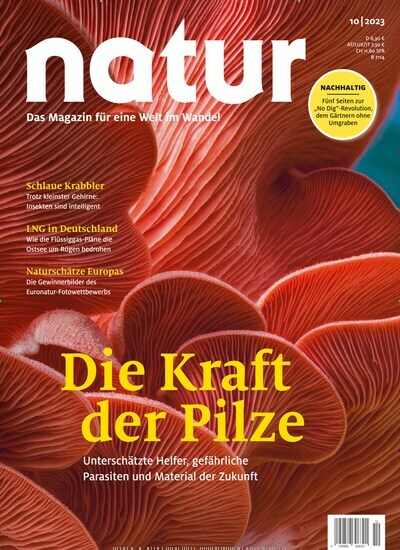 Titelbild der Ausgabe 10/2023 von natur. Diese Zeitschrift und viele weitere Reisemagazine, Freizeitmagazine und Wissensmagazine als Abo oder epaper bei United Kiosk online kaufen.