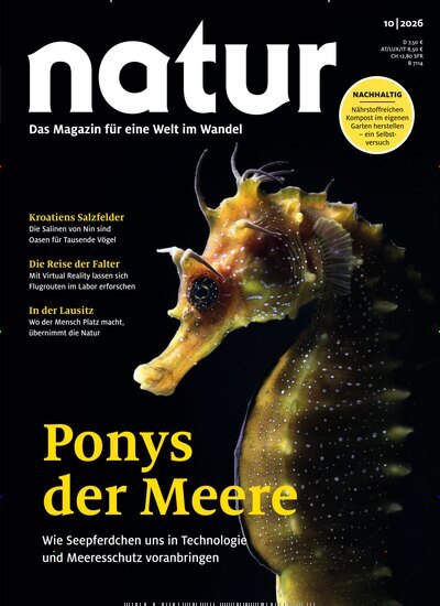 Titelbild der Ausgabe 10/2026 von natur. Diese Zeitschrift und viele weitere Reisemagazine, Freizeitmagazine und Wissensmagazine als Abo oder epaper bei United Kiosk online kaufen.
