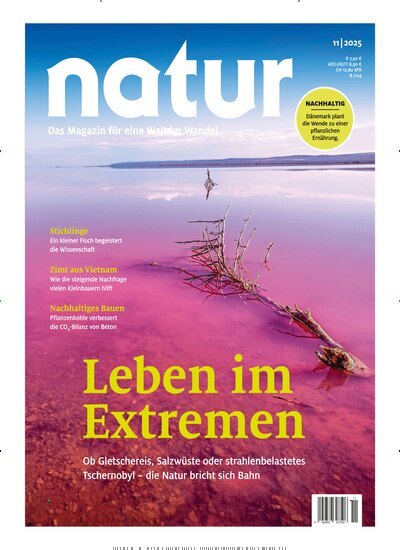 Titelbild der Ausgabe 11/2025 von natur. Diese Zeitschrift und viele weitere Reisemagazine, Freizeitmagazine und Wissensmagazine als Abo oder epaper bei United Kiosk online kaufen.