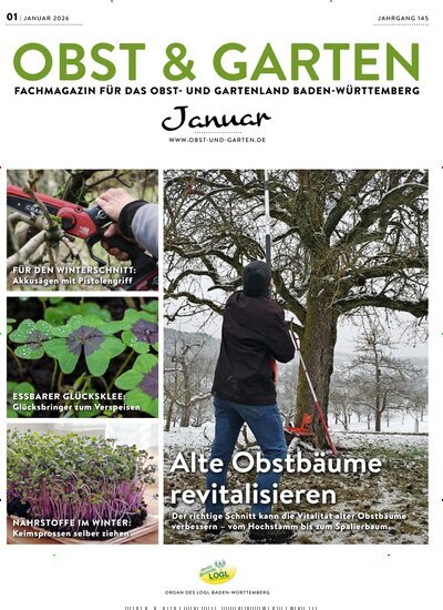 Titelbild der Ausgabe 1/2026 von Obst & Garten. Diese Zeitschrift und viele weitere Naturzeitschriften, Landwirtschaftszeitungen und Umweltmagazine als Abo oder epaper bei United Kiosk online kaufen.
