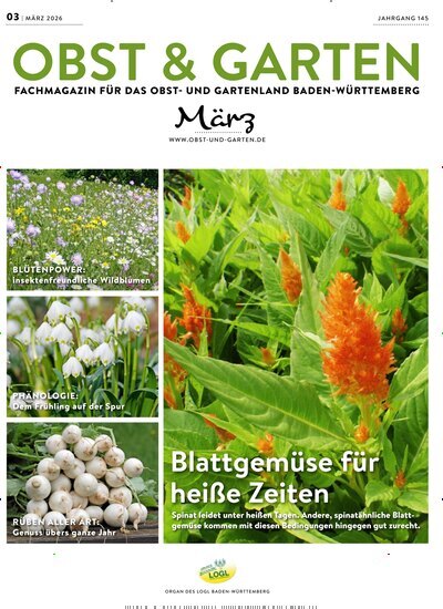 Titelbild der Ausgabe 3/2026 von Obst & Garten. Diese Zeitschrift und viele weitere Naturzeitschriften, Landwirtschaftszeitungen und Umweltmagazine als Abo oder epaper bei United Kiosk online kaufen.