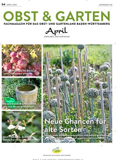 Titelbild der Ausgabe 4/2026 von Obst & Garten. Diese Zeitschrift und viele weitere Naturzeitschriften, Landwirtschaftszeitungen und Umweltmagazine als Abo oder epaper bei United Kiosk online kaufen.
