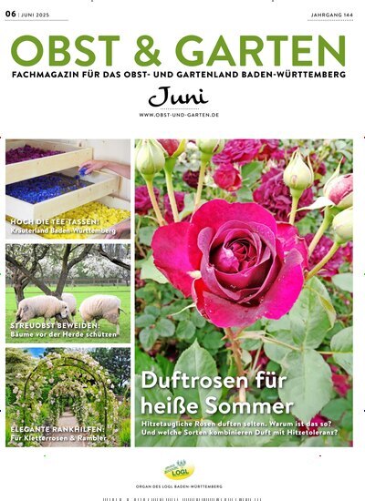 Titelbild der Ausgabe 6/2025 von Obst & Garten. Diese Zeitschrift und viele weitere Naturzeitschriften, Landwirtschaftszeitungen und Umweltmagazine als Abo oder epaper bei United Kiosk online kaufen.