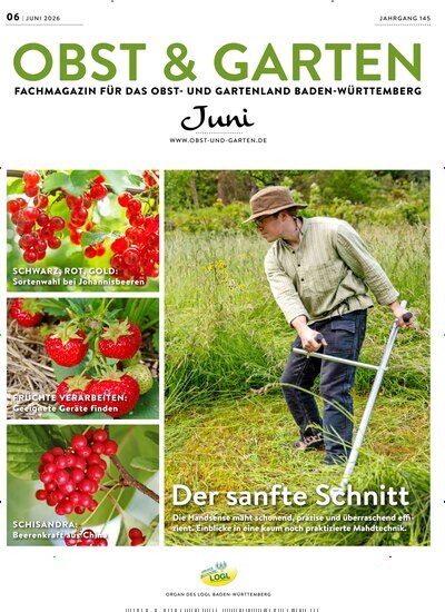 Titelbild der Ausgabe 6/2026 von Obst & Garten. Diese Zeitschrift und viele weitere Naturzeitschriften, Landwirtschaftszeitungen und Umweltmagazine als Abo oder epaper bei United Kiosk online kaufen.