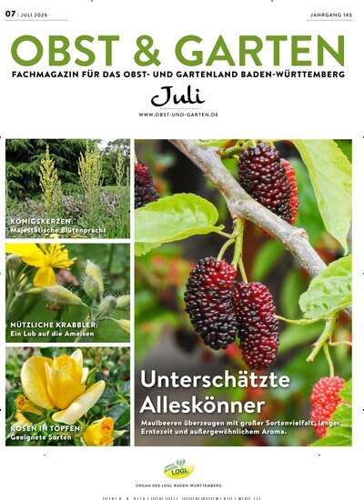 Titelbild der Ausgabe 7/2026 von Obst & Garten. Diese Zeitschrift und viele weitere Naturzeitschriften, Landwirtschaftszeitungen und Umweltmagazine als Abo oder epaper bei United Kiosk online kaufen.