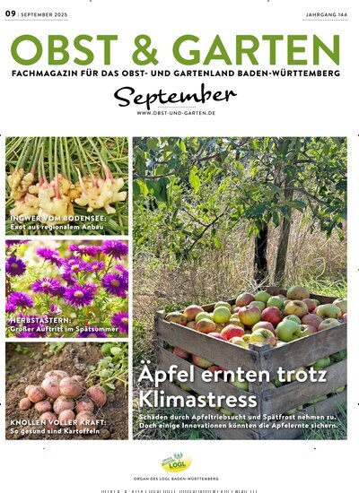 Titelbild der Ausgabe 9/2025 von Obst & Garten. Diese Zeitschrift und viele weitere Naturzeitschriften, Landwirtschaftszeitungen und Umweltmagazine als Abo oder epaper bei United Kiosk online kaufen.