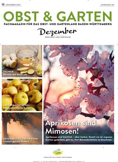 Titelbild der Ausgabe 12/2025 von Obst & Garten. Diese Zeitschrift und viele weitere Naturzeitschriften, Landwirtschaftszeitungen und Umweltmagazine als Abo oder epaper bei United Kiosk online kaufen.