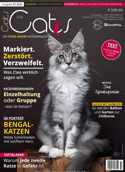 Titelbild der Ausgabe 7/2025 von Our Cats. Diese Zeitschrift und viele weitere Elternzeitschriften und Tierzeitschriften als Abo oder epaper bei United Kiosk online kaufen.