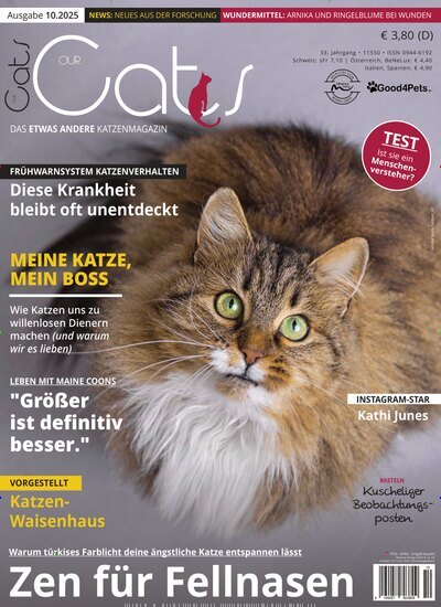 Titelbild der Ausgabe 10/2025 von Our Cats. Diese Zeitschrift und viele weitere Elternzeitschriften und Tierzeitschriften als Abo oder epaper bei United Kiosk online kaufen.