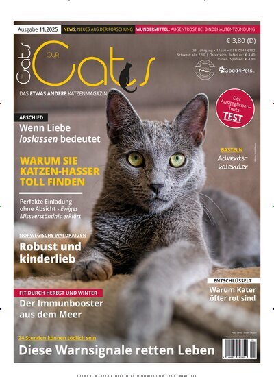 Titelbild der Ausgabe 11/2025 von Our Cats. Diese Zeitschrift und viele weitere Elternzeitschriften und Tierzeitschriften als Abo oder epaper bei United Kiosk online kaufen.