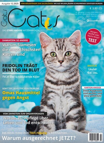 Titelbild der Ausgabe 12/2025 von Our Cats. Diese Zeitschrift und viele weitere Elternzeitschriften und Tierzeitschriften als Abo oder epaper bei United Kiosk online kaufen.