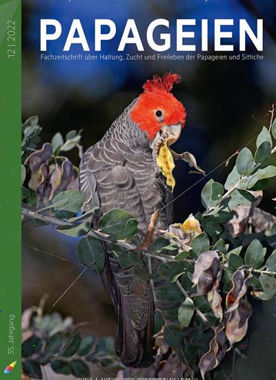 Titelbild der Ausgabe 12/2022 von Papageien. Diese Zeitschrift und viele weitere Elternzeitschriften und Tierzeitschriften als Abo oder epaper bei United Kiosk online kaufen.