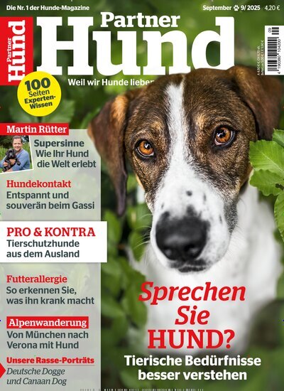 Titelbild der Ausgabe 9/2025 von Partner Hund. Diese Zeitschrift und viele weitere Elternzeitschriften und Tierzeitschriften als Abo oder epaper bei United Kiosk online kaufen.