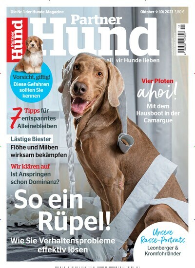 Titelbild der Ausgabe 10/2023 von Partner Hund. Diese Zeitschrift und viele weitere Elternzeitschriften und Tierzeitschriften als Abo oder epaper bei United Kiosk online kaufen.