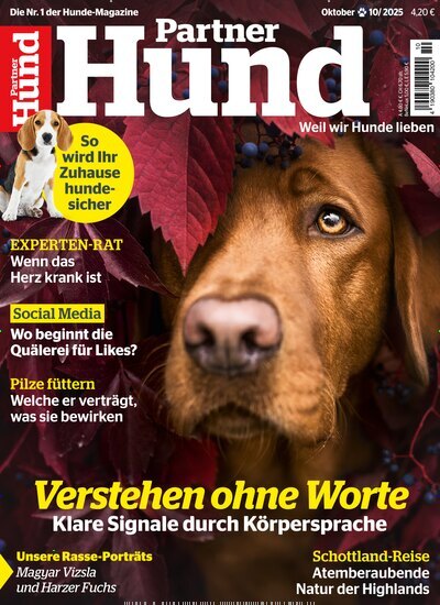 Titelbild der Ausgabe 10/2025 von Partner Hund. Diese Zeitschrift und viele weitere Elternzeitschriften und Tierzeitschriften als Abo oder epaper bei United Kiosk online kaufen.