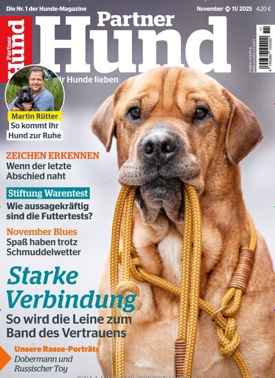 Titelbild der Ausgabe 11/2025 von Partner Hund. Diese Zeitschrift und viele weitere Elternzeitschriften und Tierzeitschriften als Abo oder epaper bei United Kiosk online kaufen.