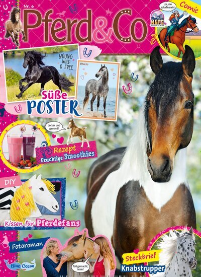 Titelbild der Ausgabe 6/2025 von Pferd & Co. Diese Zeitschrift und viele weitere Jugendzeitschriften und Kinderzeitschriften als Abo oder epaper bei United Kiosk online kaufen.