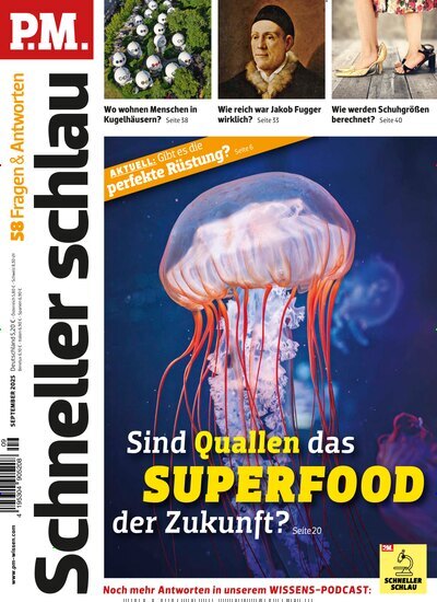 Titelbild der Ausgabe 9/2025 von PM Schneller schlau. Diese Zeitschrift und viele weitere Reisemagazine, Freizeitmagazine und Wissensmagazine als Abo oder epaper bei United Kiosk online kaufen.