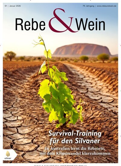 Titelbild der Ausgabe 1/2026 von Rebe & Wein. Diese Zeitschrift und viele weitere Naturzeitschriften, Landwirtschaftszeitungen und Umweltmagazine als Abo oder epaper bei United Kiosk online kaufen.