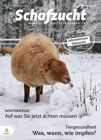 Titelbild der Ausgabe 1/2026 von Schafzucht. Diese Zeitschrift und viele weitere Naturzeitschriften, Landwirtschaftszeitungen und Umweltmagazine als Abo oder epaper bei United Kiosk online kaufen.