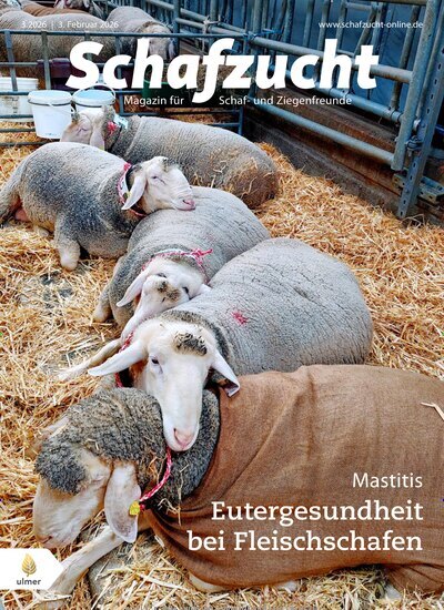 Titelbild der Ausgabe 3/2026 von Schafzucht. Diese Zeitschrift und viele weitere Naturzeitschriften, Landwirtschaftszeitungen und Umweltmagazine als Abo oder epaper bei United Kiosk online kaufen.