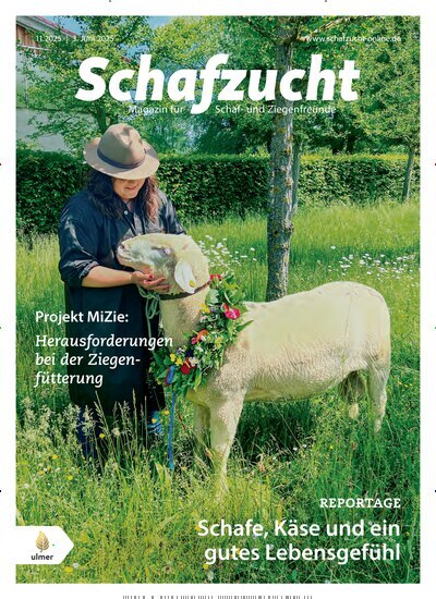 Titelbild der Ausgabe 11/2025 von Schafzucht. Diese Zeitschrift und viele weitere Naturzeitschriften, Landwirtschaftszeitungen und Umweltmagazine als Abo oder epaper bei United Kiosk online kaufen.