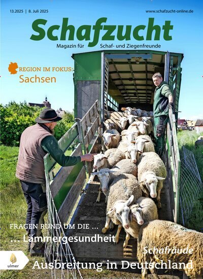 Titelbild der Ausgabe 13/2025 von Schafzucht. Diese Zeitschrift und viele weitere Naturzeitschriften, Landwirtschaftszeitungen und Umweltmagazine als Abo oder epaper bei United Kiosk online kaufen.