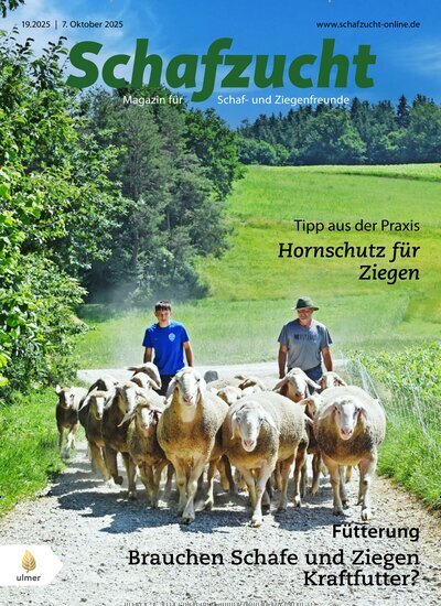 Titelbild der Ausgabe 19/2025 von Schafzucht. Diese Zeitschrift und viele weitere Naturzeitschriften, Landwirtschaftszeitungen und Umweltmagazine als Abo oder epaper bei United Kiosk online kaufen.