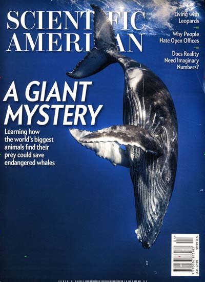 Titelbild der Ausgabe 4/2023 von Scientific American. Diese Zeitschrift und viele weitere Reisemagazine, Freizeitmagazine und Wissensmagazine als Abo oder epaper bei United Kiosk online kaufen.