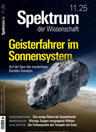 Titelbild der Ausgabe 11/2025 von Spektrum der Wissenschaft. Diese Zeitschrift und viele weitere Reisemagazine, Freizeitmagazine und Wissensmagazine als Abo oder epaper bei United Kiosk online kaufen.