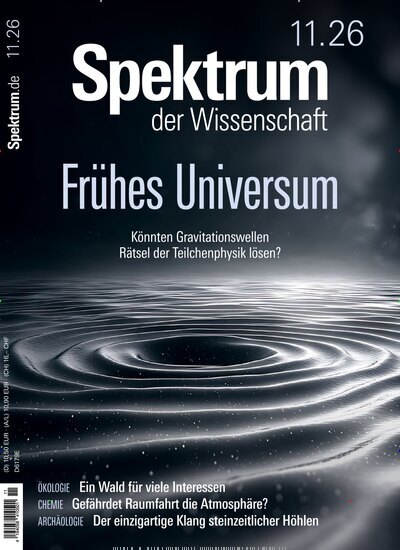 Titelbild der Ausgabe 11/2026 von Spektrum der Wissenschaft. Diese Zeitschrift und viele weitere Reisemagazine, Freizeitmagazine und Wissensmagazine als Abo oder epaper bei United Kiosk online kaufen.