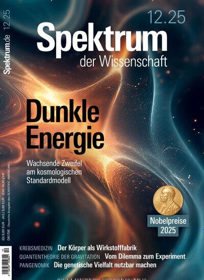 Titelbild der Ausgabe 12/2025 von Spektrum der Wissenschaft. Diese Zeitschrift und viele weitere Reisemagazine, Freizeitmagazine und Wissensmagazine als Abo oder epaper bei United Kiosk online kaufen.