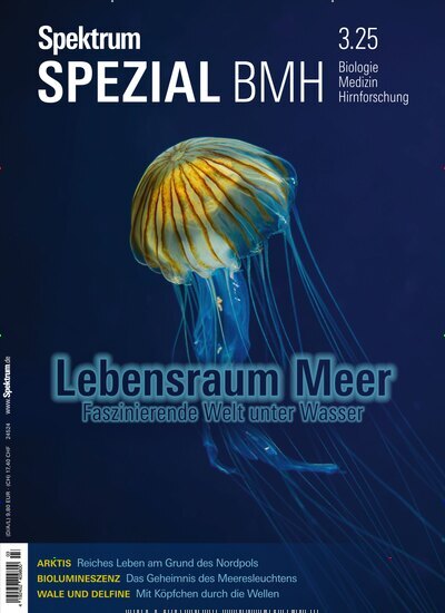 Titelbild der Ausgabe 3/2025 von Spektrum der Wissenschaft Spezial Biologie, Medizin, Hirnforschung. Diese Zeitschrift und viele weitere Reisemagazine, Freizeitmagazine und Wissensmagazine als Abo oder epaper bei United Kiosk online kaufen.