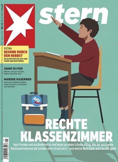 Titelbild der Ausgabe 45/2025 von stern. Diese Zeitschrift und viele weitere Wirtschaftsmagazine und Politikmagazine als Abo oder epaper bei United Kiosk online kaufen.