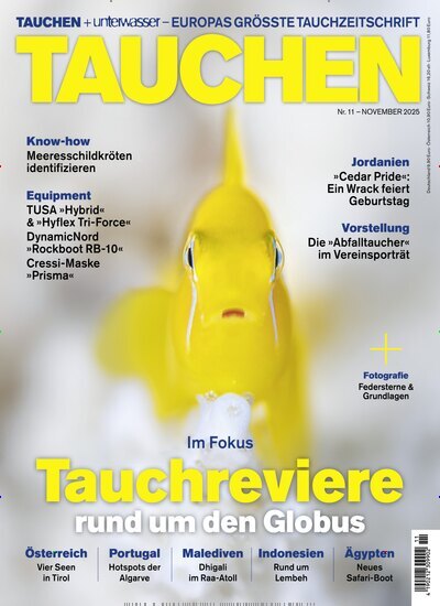 Titelbild der Ausgabe 11/2025 von Tauchen. Diese Zeitschrift und viele weitere Sportmagazine als Abo oder epaper bei United Kiosk online kaufen.