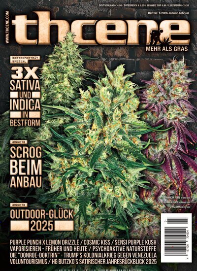 Titelbild der Ausgabe 1/2026 von thcene. Diese Zeitschrift und viele weitere Lifestylemagazine und Peoplemagazine als Abo oder epaper bei United Kiosk online kaufen.