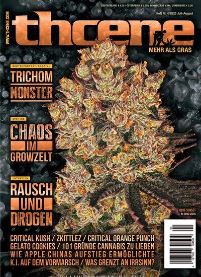 Titelbild der Ausgabe 4/2025 von thcene. Diese Zeitschrift und viele weitere Lifestylemagazine und Peoplemagazine als Abo oder epaper bei United Kiosk online kaufen.