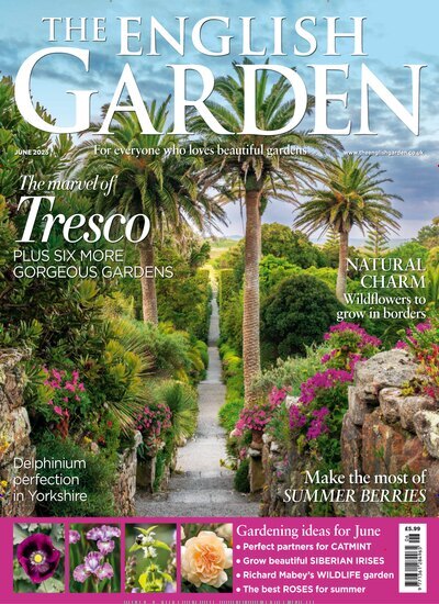 Titelbild der Ausgabe 8/2025 von The English Garden. Diese Zeitschrift und viele weitere Gartenzeitschriften und Wohnzeitschriften als Abo oder epaper bei United Kiosk online kaufen.