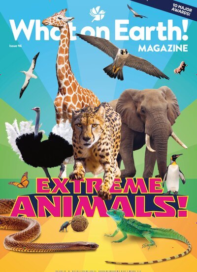 Titelbild der Ausgabe 10/2026 von What on Earth! Magazine. Diese Zeitschrift und viele weitere Jugendzeitschriften und Kinderzeitschriften als Abo oder epaper bei United Kiosk online kaufen.
