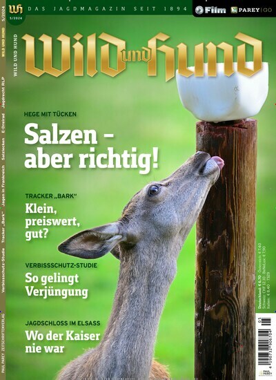 Titelbild der Ausgabe 5/2024 von Wild und Hund. Diese Zeitschrift und viele weitere Sportmagazine als Abo oder epaper bei United Kiosk online kaufen.