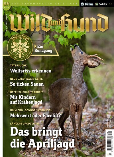 Titelbild der Ausgabe 6/2026 von Wild und Hund. Diese Zeitschrift und viele weitere Sportmagazine als Abo oder epaper bei United Kiosk online kaufen.