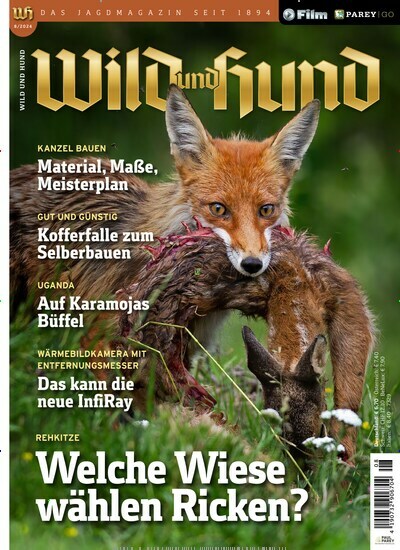 Titelbild der Ausgabe 8/2024 von Wild und Hund. Diese Zeitschrift und viele weitere Sportmagazine als Abo oder epaper bei United Kiosk online kaufen.