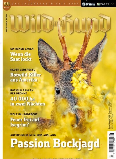 Titelbild der Ausgabe 9/2026 von Wild und Hund. Diese Zeitschrift und viele weitere Sportmagazine als Abo oder epaper bei United Kiosk online kaufen.