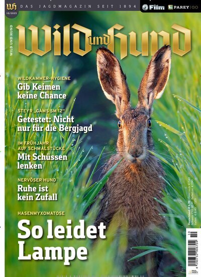 Titelbild der Ausgabe 10/2025 von Wild und Hund. Diese Zeitschrift und viele weitere Sportmagazine als Abo oder epaper bei United Kiosk online kaufen.