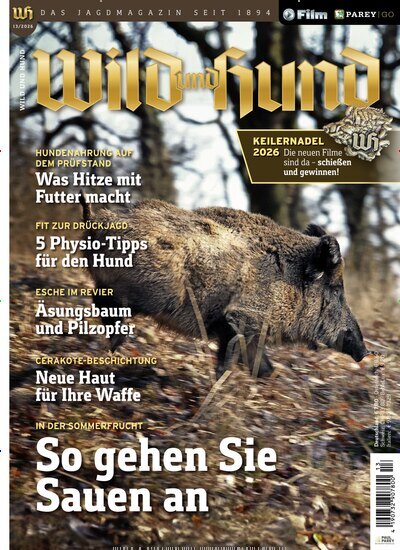 Titelbild der Ausgabe 13/2026 von Wild und Hund. Diese Zeitschrift und viele weitere Sportmagazine als Abo oder epaper bei United Kiosk online kaufen.
