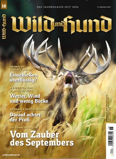 Titelbild der Ausgabe 18/2023 von Wild und Hund. Diese Zeitschrift und viele weitere Sportmagazine als Abo oder epaper bei United Kiosk online kaufen.